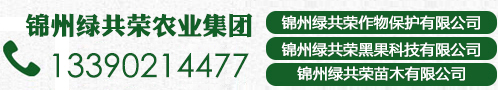 鐵漢生態(tài)建設(shè)有限公司